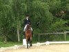 dressage horse Leroy 160 (Westphalian, 2000, from Lord Sinclair I)