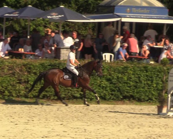 Reitturnier Vlotho-Exter 2022