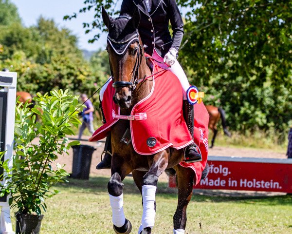 dressage horse Valentina 136 (Oldenburg, 2015, from Zatchmo)