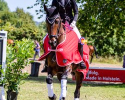 dressage horse Valentina 136 (Oldenburg, 2015, from Zatchmo)