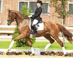 dressage horse Biathlon F (Hanoverian, 2008, from Ballettmeister)