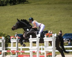 jumper Dinah Lou (Hanoverian, 2006, from Dornenkönig)