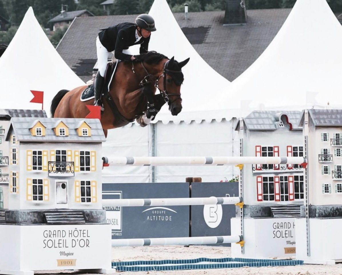 jumper Callinda Denfer (Holsteiner, 2015, from Casall Ask)