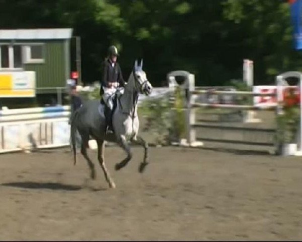 broodmare Vanilla Sky 9 (Oldenburg, 1999, from Vivaldi)