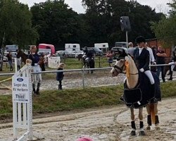 dressage horse Golden Champagne (German Warmblood, 2017, from Golden West NRW)