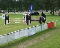 dressage horse Quintana 23 (German Sport Horse, 2004, from Quaterman I)