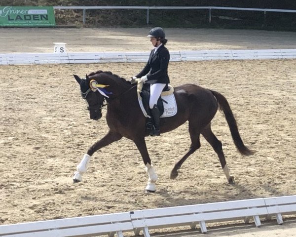 dressage horse Lillifee F (Hanoverian, 2018, from Livaldon)