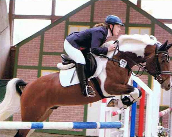 stallion Orkan (Lewitzer, 2001, from Ontario II)