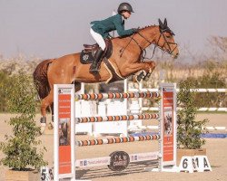 jumper Elite du Chenois (Belgium Sporthorse, 2010, from Kashmir van't Schuttershof)