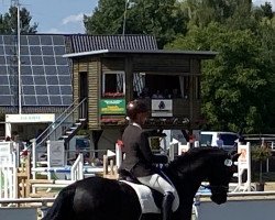 dressage horse Fürsten-Lilie (Hanoverian, 2017, from Fürsten-Look)