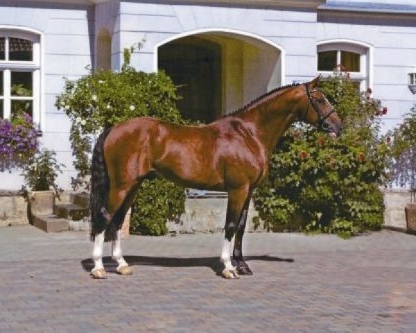 stallion Carlando I (Bavarian, 1995, from Caretello B)