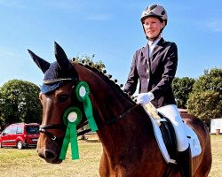 dressage horse Vicktoria Secret (Hanoverian, 2011, from Van Helsing)