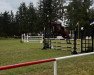 jumper Heppi Hickstead (Oldenburg show jumper, 2017, from Hickstead White)