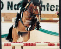 broodmare Zauberstern (Austrian Warmblood, 1991, from Zenit)