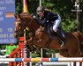 jumper Little Gun S (German Sport Horse, 2011, from Levistano)