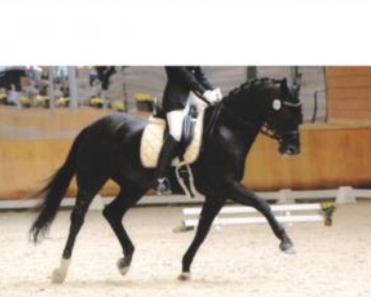 broodmare Pia Nera Marzina (Rhinelander, 1995, from Parademarsch I)