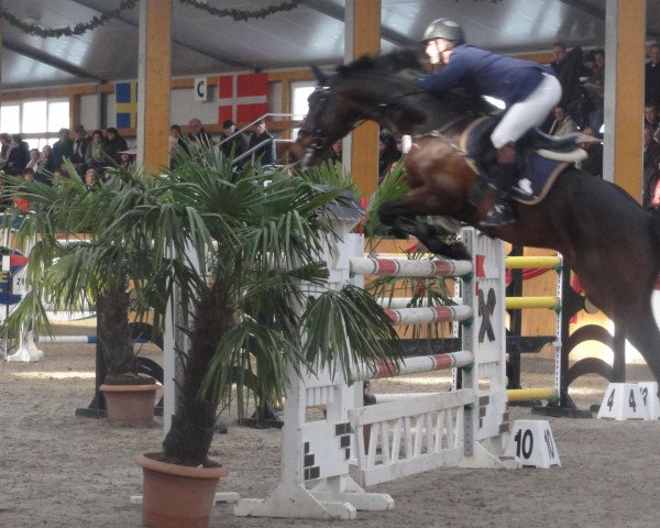 stallion Le Co Q As (German Sport Horse, 2003, from Lentini)