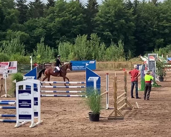Reitturnier Fahrenbach-Robern 2022