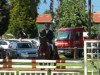 jumper Charly 1455 (Oldenburg show jumper, 2007, from Chalan)