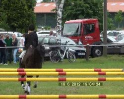 dressage horse Schwebeteilchen (German Riding Pony, 2007, from Hightrick)