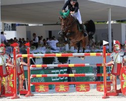 stallion Gfe Jilbert van't Ruytershof (Belgian Warmblood, 2009, from Numero Uno)