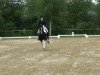 dressage horse Fenena 6 (Westphalian, 2002, from Florestan I)