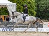 dressage horse Double Cream WE (German Riding Pony, 2018, from Double Diamond)