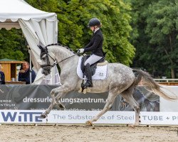 Dressurpferd Double Cream WE (Deutsches Reitpony, 2018, von Double Diamond)