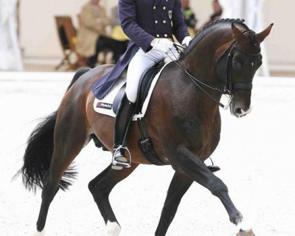 stallion Weltino (Westphalian, 1997, from Weltfeuer)