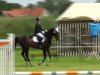 dressage horse Ruby 148 (Oldenburg, 2006, from Rubinero 2)