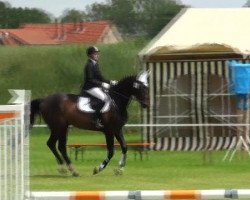 dressage horse Ruby 148 (Oldenburg, 2006, from Rubinero 2)