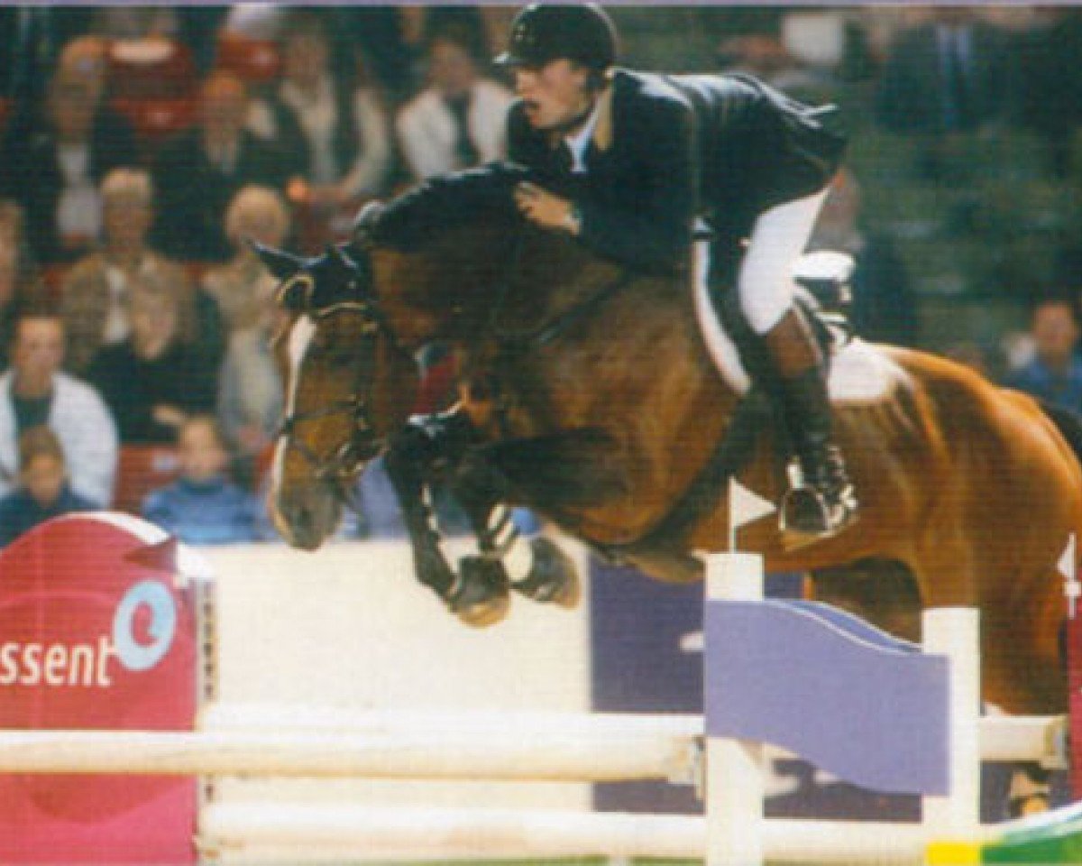 Deckhengst Marome NW (KWPN (Niederländisches Warmblut), 1994, von Starsky de Brix)