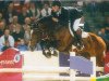 stallion Marome NW (KWPN (Royal Dutch Sporthorse), 1994, from Starsky de Brix)