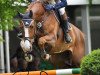 jumper Bond James Bond (Oldenburg show jumper, 2003, from Balou du Rouet)