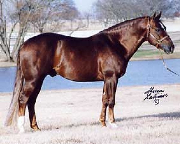 Deckhengst Smart Starbuck (Quarter Horse, 1993, von Grays Starlight)