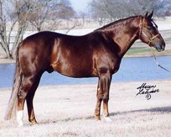 Deckhengst Smart Starbuck (Quarter Horse, 1993, von Grays Starlight)