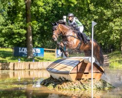 Springpferd Monsieur Schnabel (Trakehner, 2008, von Grafenstolz)