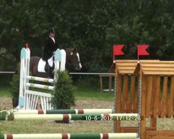 dressage horse Figaro W (Westphalian, 2005, from Florestan I)