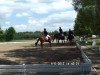 dressage horse Ravinia Royal (Hanoverian, 2000, from Regazzoni)