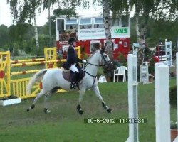 dressage horse Delphi (German Riding Pony, 1995, from Dressman)