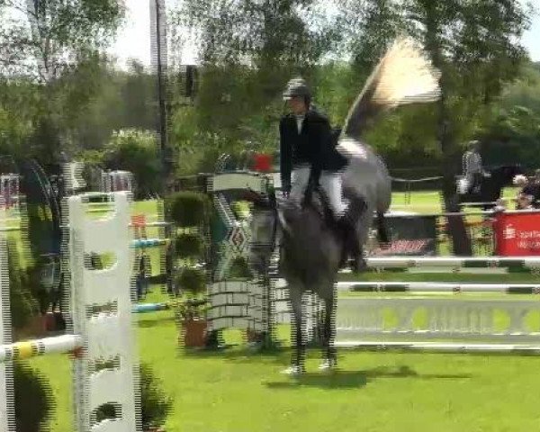 jumper Celina 181 (Oldenburg show jumper, 2007)