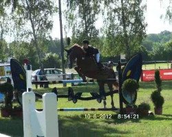 broodmare Kiss Me (German Sport Horse, 2003, from Korano B)