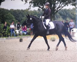 dressage horse Elea 21 (Alt-Oldenburger / Ostfriesen, 2016, from Ernesto M)