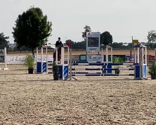 Reitturnier Rot am See- Musdorf 2022