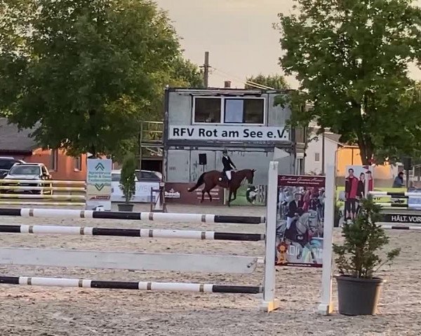 Reitturnier Rot am See- Musdorf 2022