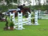 jumper Louis 285 (Hanoverian, 2007, from Ludwig von Bayern 168 FIN)