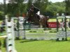 jumper Campinas (Holsteiner, 2008, from Clintord)