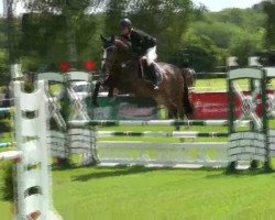 jumper Campinas (Holsteiner, 2008, from Clintord)