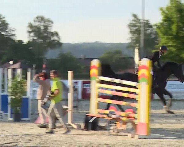 Reitturnier Rot am See- Musdorf 2022