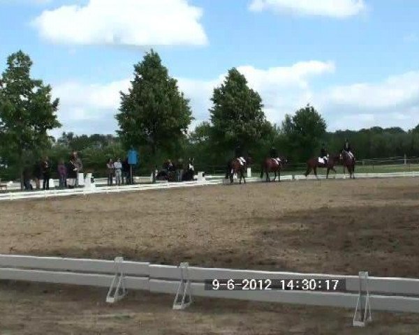 dressage horse Waluna 14 (Hanoverian, 2003, from Weltano)